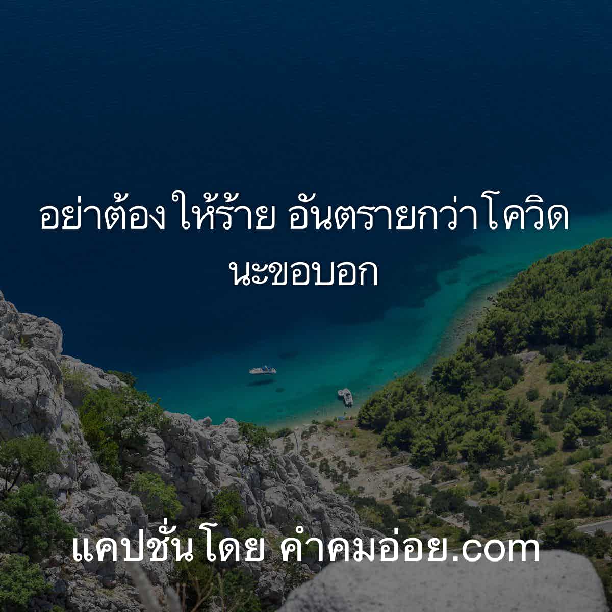 86 แคปชั่นกวนตีน คำคม ผ ช มี หนวด